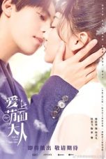 Nonton Drama China Fall In Love With Him (2021) Sub Indo Saudagar21