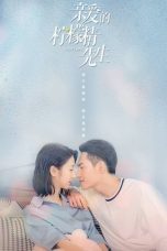 Nonton Drama China Plot Love (2021) Sub Indo Saudagar21