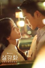 Nonton Drama Korea Snowdrop (2021) Sub Indo Dramaqu Saudagar21