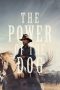 Nonton Film The Power of the Dog (2021) Sub Indo Saudagar21