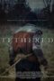 Nonton Film Tethered (2022) Sub Indo Download Tethered (2022) Online Free dengan Subtitle Indonesia Saudagar21