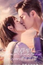 Nonton Drama China Star-Crossed Lovers (2022) Sub Indo Dramaserial Saudagar21