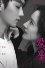 Nonton Drama China She and Her Perfect Husband (2022) Sub Indo