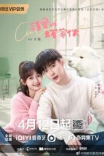 Nonton Drama China Cute Bad Guy (2023) Sub Indo