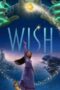 Wish (2023)