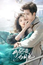 Nonton Drama China In Blossom (2024) Sub Indo