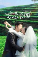 Nonton Drama China Love in the Tea Garden (2024) Sub Indo Saudagar21